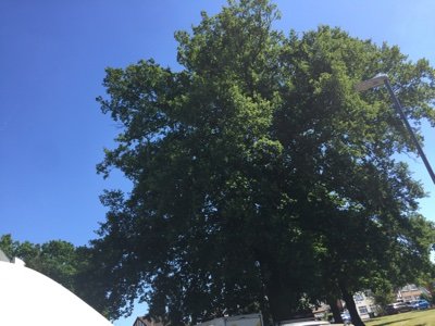 Landaaan93's profile picture. Actor