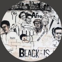 Bruce D. Nesbitt African American Cultural Center (@bnaacc_illinois) 's Twitter Profile