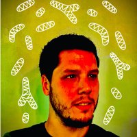 Dan Tyrrell (@danis1337) 's Twitter Profile Photo