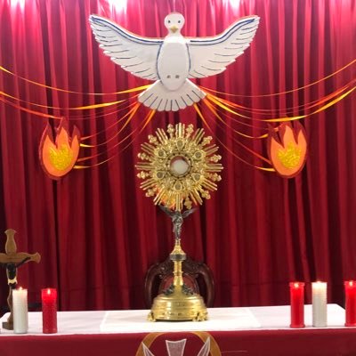 PbroPatraca's profile picture. Presbítero de la Diócesis de Coatzacoalcos.