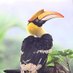 Kerala Biodiversity (@keralabio) Twitter profile photo Kerala Biodiversity (@keralabio) Twitter profile photo