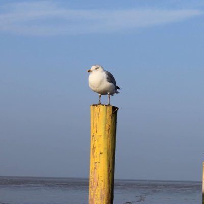 Sternchenkekse's profile picture. Gesundheits- & Kinderkrankenpflegerin💉 mit perfektionistischen und verrückten Dingen im Kopf... Folgen erfolgt auf eigene Gefahr! ⚠️