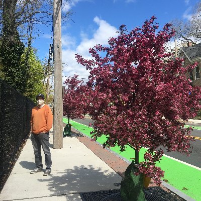 Zero-emission bus fleet planner. Bike lane enjoyer. Go Pats.