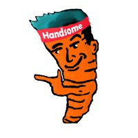 HandsomeCarrot (@handsome_carrot) 's Twitter Profile