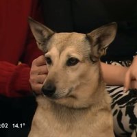 t0mas🇺🇦 (@tomikurtzemann2) 's Twitter Profile