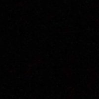 Dani 🦎 (@danideherrera) 's Twitter Profile