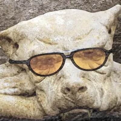 Danilo70542974's profile picture. Deus