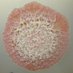 Borlee Lab (@borleelab) Twitter profile photo
