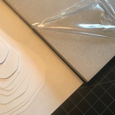 AttendingR's profile picture. ACAB🌹