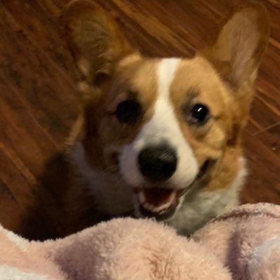 ashleymason527's profile picture. probably eating ice cream