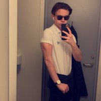 Levi Nystrøm (@levinystrom1) 's Twitter Profile