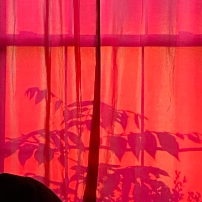 a glimpse into my mind 🧚🏼