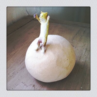 genkitai's profile image