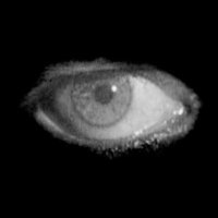 Eyes On Cinema(@RealEOC) 's Twitter Profile Photo Eyes On Cinema(@RealEOC) 's Twitter Profile Photo