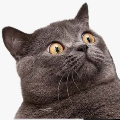 charlot32316872's profile picture. 🌹💙🐝
#FBPPR 
#RejoinEU #Reform 
💙🏴‍☠️#FBPE#3.5% 
#Rejoin
Please no DM's