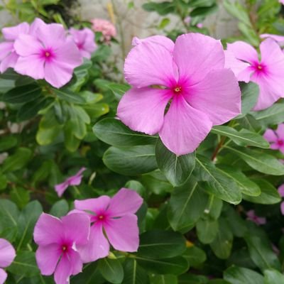 mirpril's profile picture. Beach living