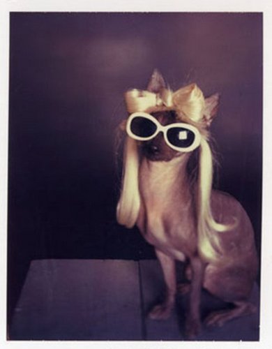 klouisev's profile picture. louise in the sky w/diamonds