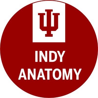 The Anatomy Ed PhD @IUMedSchool Indy trains educators to teach all anatomical disciplines & physiology to all levels of students & engage in #MedEd research.