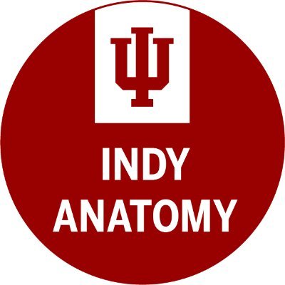 IndyAnatEdPhd Profile Picture