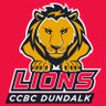 ccbcdundalkmbb's profile picture. Official Twitter account for CCBC Dundalk Lions Men’s Basketball