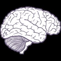 Unofficial account to automatically tweet new neuroscience papers published at Nature Communications. Not affiliated with the journal.