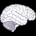 New neuroscience papers in Nature Communications (@neuropaperbot) Twitter profile photo New neuroscience papers in Nature Communications (@neuropaperbot) Twitter profile photo