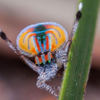 NathanEHopson's profile picture. 一家の外国柱