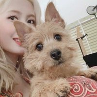 링링링 (@ringx3_) 's Twitter Profile