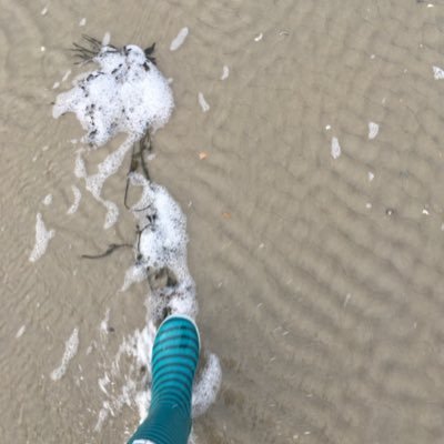 I love life! Using Blue Sky: Welliesnseaweed; Instagram & Threads: Welliesnseaweed & occasionally Mastodon:Welliesnseaweed@mas.to