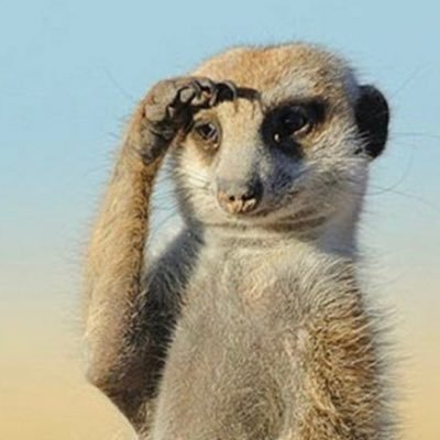 Marcus83724248's profile picture. ‘All it takes for evil to prevail is for good men (and women!) to do nothing’  Views my own. Retweet not an endorsement.