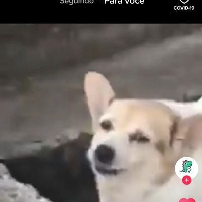 FelipeC73943079's profile picture. Aproveite seu dia, pois um dia, ele pode ser o último.