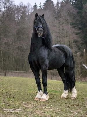 JessVasconcel10's profile picture. 