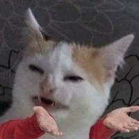 potato uwu (@potatou73857830) 's Twitter Profile