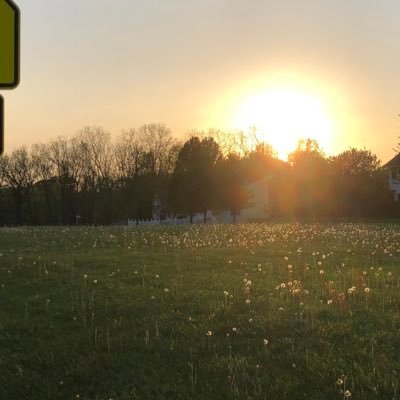 Dvander64's profile picture. 