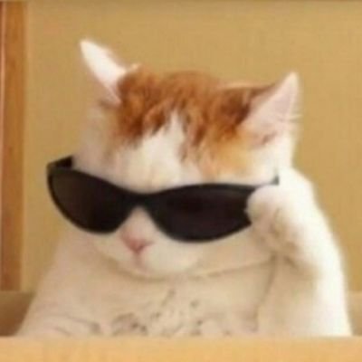 obb98060388's profile picture. 