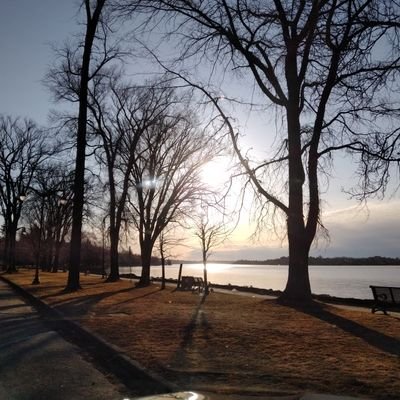 JeanDennie's profile picture. 