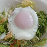 生々野菜@取引垢 (@namayasaiii) 's Twitter Profile