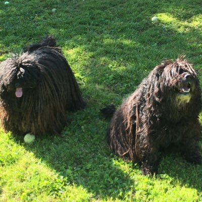 jajabar4653's profile picture. 