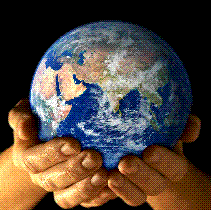 Passionate about helping passionate people!