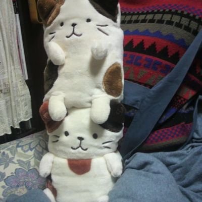 misatowako's profile picture. 主にゆりちゃん、少女時代、Kalafina、citrus、2DK、あやひろの情報追っかけてます♪