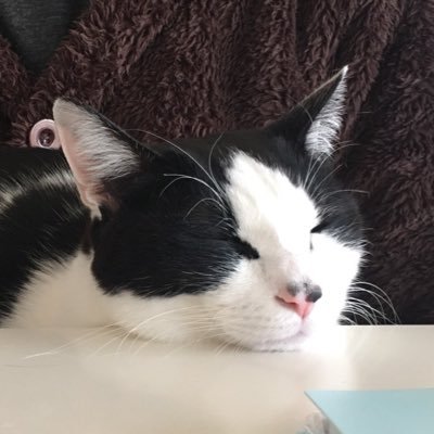 ゴゴゴさんのプロフィール画像
