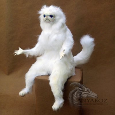 Billmcdongle's profile picture. 