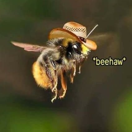 sarahsweggin's profile picture. tweets are my own opinion • fascists, racists, transphobes, homophobes are not welcome here • ni dieu ni maître, sans foi ni loi