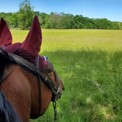 person6542's profile picture. 