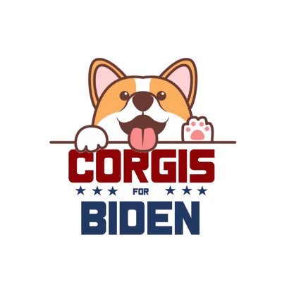 Corgis for Biden