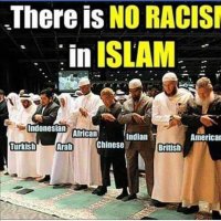 muhmad (@muslmdawah) 's Twitter Profile