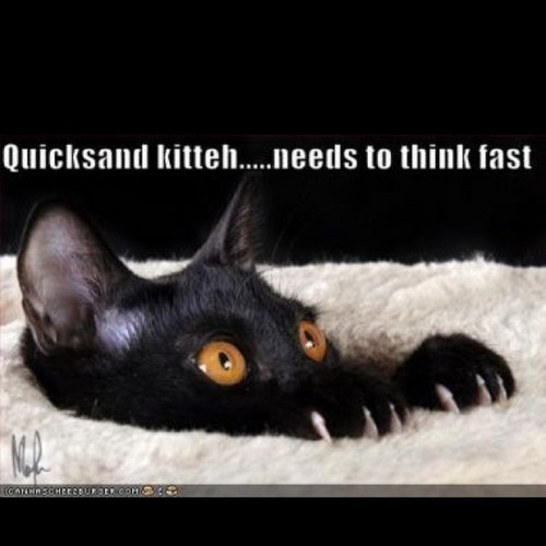 rhianne10's profile picture. 