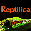 Reptilica ist der wahrscheinlich interessanteste Online-Shop im Bereich Terraristik. Seit 2004 wird ein großes Sortiment an Heimtierartikeln angeboten.