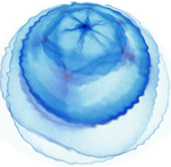 GeorgiannWickl's profile picture. 