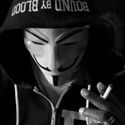 Anonymous_webbr's profile picture. contra o governo somos a lei